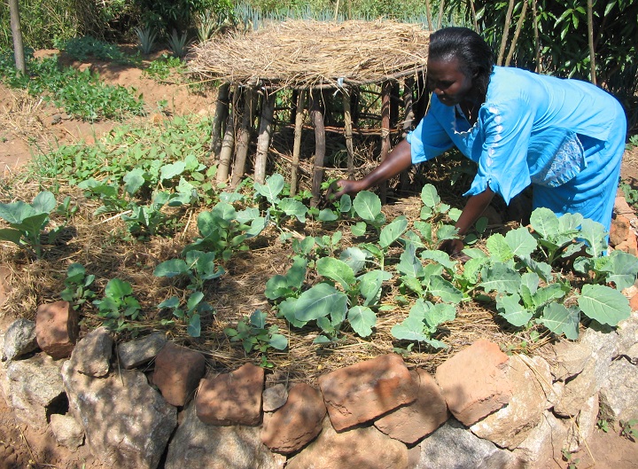 Keyhole Garden How To Build One and 30+ Inspirational Ideas For Your